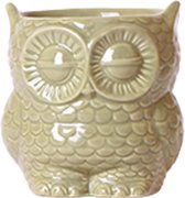 Kolibri Home | Owl bloempot - Groene keramieken sierpot - Ø9cm