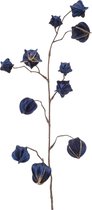 Viv! Home Luxuries Lampionplant - groot - velvet blauw - 78 cm - topkwaliteit