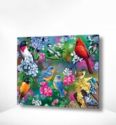 Painting Expert® Schilderen op nummer Volwassenen - Schilderen op nummer Kinderen - Vogeltjes met Bloemetjes - 40x50cm - Exclusief Lijst (24 kleurtjes)