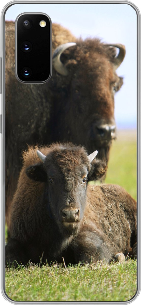 Telefoonhoesje Geschikt voor Samsung Galaxy S20 hoesje - Buffel - Gras - Kalf - Siliconen Telefoonhoesje Telefoonhoesje