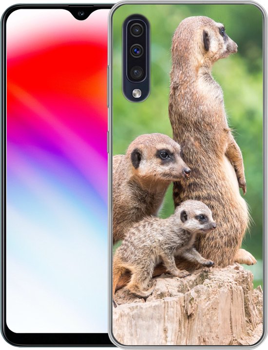 Telefoonhoesje Geschikt voor Samsung Galaxy A50 hoesje - Stokstaartjes - Boomstronk - Jong - Siliconen Telefoonhoesje Telefoonhoesje