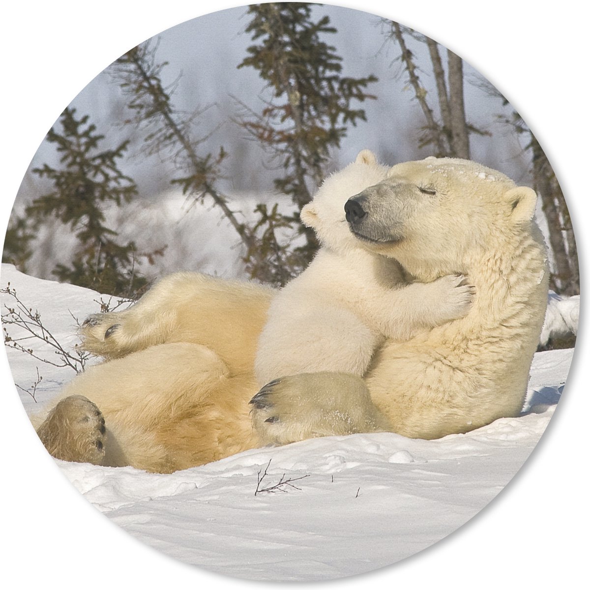 Muismat rond 20x20 cm - Mousepad IJsbeer - Sneeuw - Den - Jong - Ronde muismatten