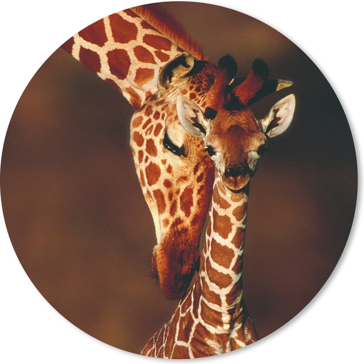Muismat rond 20x20 cm - Mousepad Giraffe - Kalf - Portret - Ronde muismatten