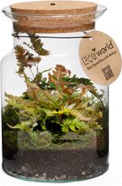 Ecoworld Jungle Corky Glas Ecosysteem Lamp - LED verlichting - Ø 13 cm ↕ 20 cm