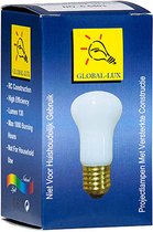 LINDEN Krypton Gloeilamp E27 60W 230V - 6 stuks