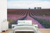Behang - Fotobehang Lavendel - Bloemen - Natuur - Breedte 360 cm x hoogte 240 cm - Behangpapier