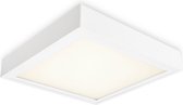 Bisolux Opbouw Master Paneel - 30x30 cm LED paneel - Wit - Dimbaar