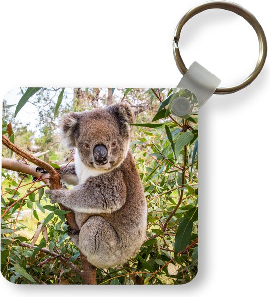 Sleutelhanger - Uitdeelcadeautjes - Koala - Boom - Bladeren - Kinderen - Jongens - Meiden - Plastic