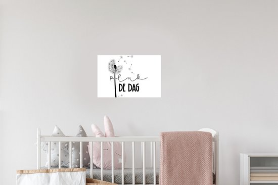 Stickers Stickers muraux - Citations - Saisir le jour - Carpe diem - Proverbes - 30x20 cm - Feuille adhésive