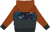 Vingino baby jongens hoodie Nuri Brown