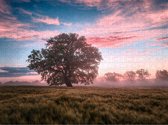 Mooie Zonsopkomst op Puzzel - Lastige Puzzel 500 stukjes | Landschap - Natuur