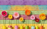 Fotobehang - Vlies Behang - Kleurrijke Bloemen in Vazen op Gekleurde Houten Planken - 368 x 254 cm