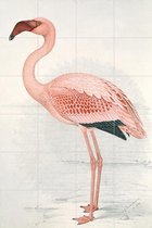IXXI Lesser Flamingo - Wanddecoratie - Dieren en insecten - 80 x 120 cm