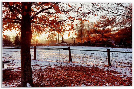 PVC Schuimplaat - Landschap - Winter - Bomen - Bladeren - Sneeuw - Zonsondergang - 60x40 cm Foto op PVC Schuimplaat (Met Ophangsysteem)