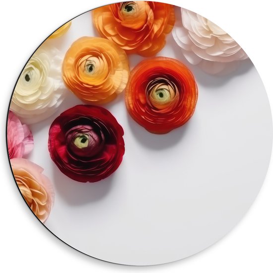 Dibond Muurcirkel - Mix van Rode en Oranje Bloemen op Witte Achtergrond - 50x50 cm Foto op Aluminium Muurcirkel (met ophangsysteem)