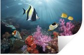 Sticker Muursticker Monde sous-marin - Corail coloré - 120x80 cm - feuille autocollante - sticker mural repositionnable