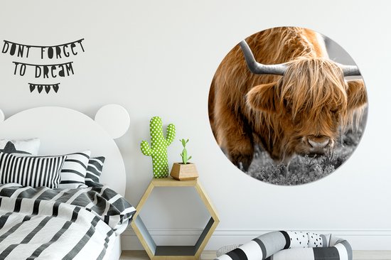 WallCircle - Cercle mural - Cercle mural - Highlander écossais - Animaux - Marron - Vache - Zwart - Wit - Nature - Aluminium - Dibond - 120x120 cm - Intérieur et extérieur XXL
