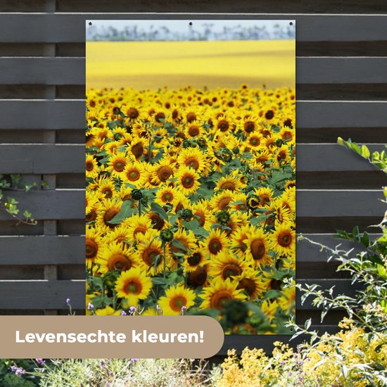 Tuinposter - Bloemen - Zonnebloemen - Tuindecoratie - Bloemenveld - 120x180 cm - Tuinschilderij - Tuindoek