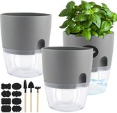 Set van 3 grijze keukenkruiden bloempot kunststof plantenpot met zelfbewatering en waterreservoir, 18,2 x 10 x 15 cm, transparant