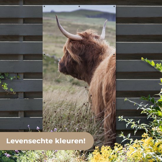Affiche de clôture Scottish Highlander - Nature - Mer - 100x200 cm - Toile de jardin