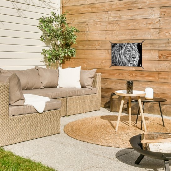 Affiche de jardin Lion en hiver 60x40 cm - Photo sur affiche de jardin / Peintures pour l'extérieur (décoration de jardin)