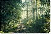 Muurdecoratie Bos - Pad - Zon - Bomen - Groen - Natuur - 180x120 cm - Tuinposter - Tuindoek - Buitenposter