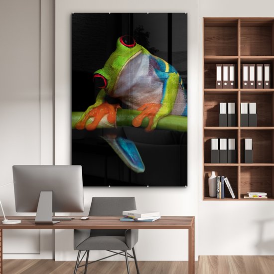 Peinture sur verre - Grenouille - Animaux - Vert - Oranje - Rouge - Photo sur verre - Peinture sur verre - 100x150 cm - Décoration murale