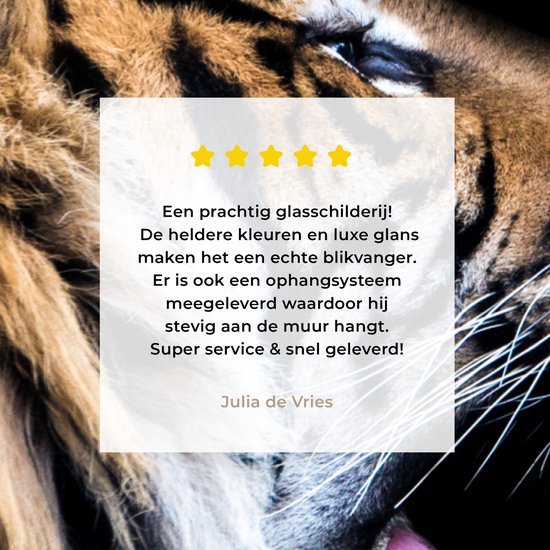 MuchoWow® Peinture sur verre - Tigre - Animaux - Portrait - 40x60 cm - Peintures sur verre acrylique - Photo sur Glas