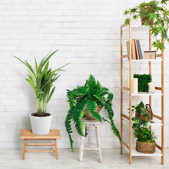 opstapkrukje toillet - tot 100 kg - 20x33x21,5 cm - plantenkrukje - kinderopstapje
