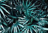 Fotobehang - Vlies Behang - Botanisch Jungle Bladeren - 208 x 146 cm