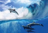 Fotobehang - Vlies Behang - Dolfijnen in Zee bij de Golven - 208 x 146 cm