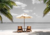 Fotobehang - Vlies Behang - Strandstoelen tussen de Palmbomen aan Zee - 208 x 146 cm
