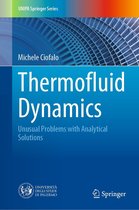 UNIPA Springer Series - Thermofluid Dynamics