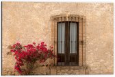 Dibond - Rode Bloemenstruik bij Deur van Traditioneel Italiaans Huis - 60x40 cm Foto op Aluminium (Wanddecoratie van metaal)