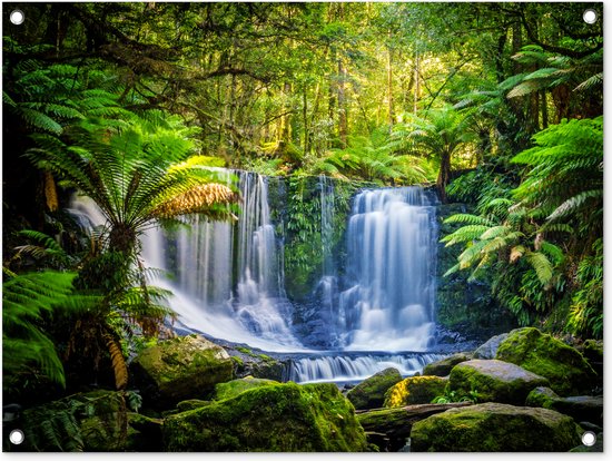 Jungle - Waterval - Australië - Planten - Natuur - Tuindoek