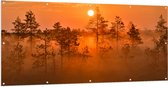 Tuinposter – Zonsopkomst bij Bos met Bomen Vol met Mist - 200x100 cm Foto op Tuinposter (wanddecoratie voor buiten en binnen)