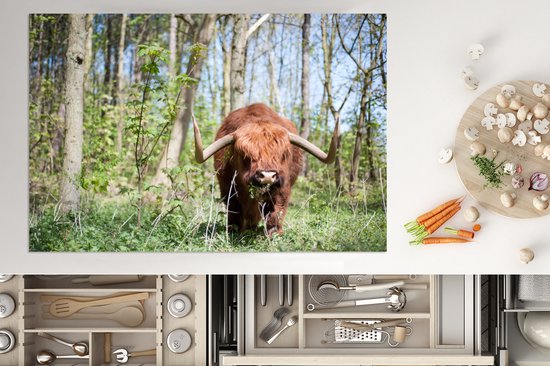 KitchenYeah® Inductie beschermer 78x52 cm - Schotse Hooglander - Bos - Schotse Koe - Kookplaataccessoires - Afdekplaat voor kookplaat - Inductiebeschermer - Inductiemat - Inductieplaat mat