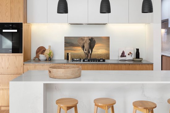 Spatscherm keuken 120x60 cm - Kookplaat achterwand Olifant - Dieren - Gras - Natuur - Muurbeschermer - Spatwand fornuis - Hoogwaardig aluminium