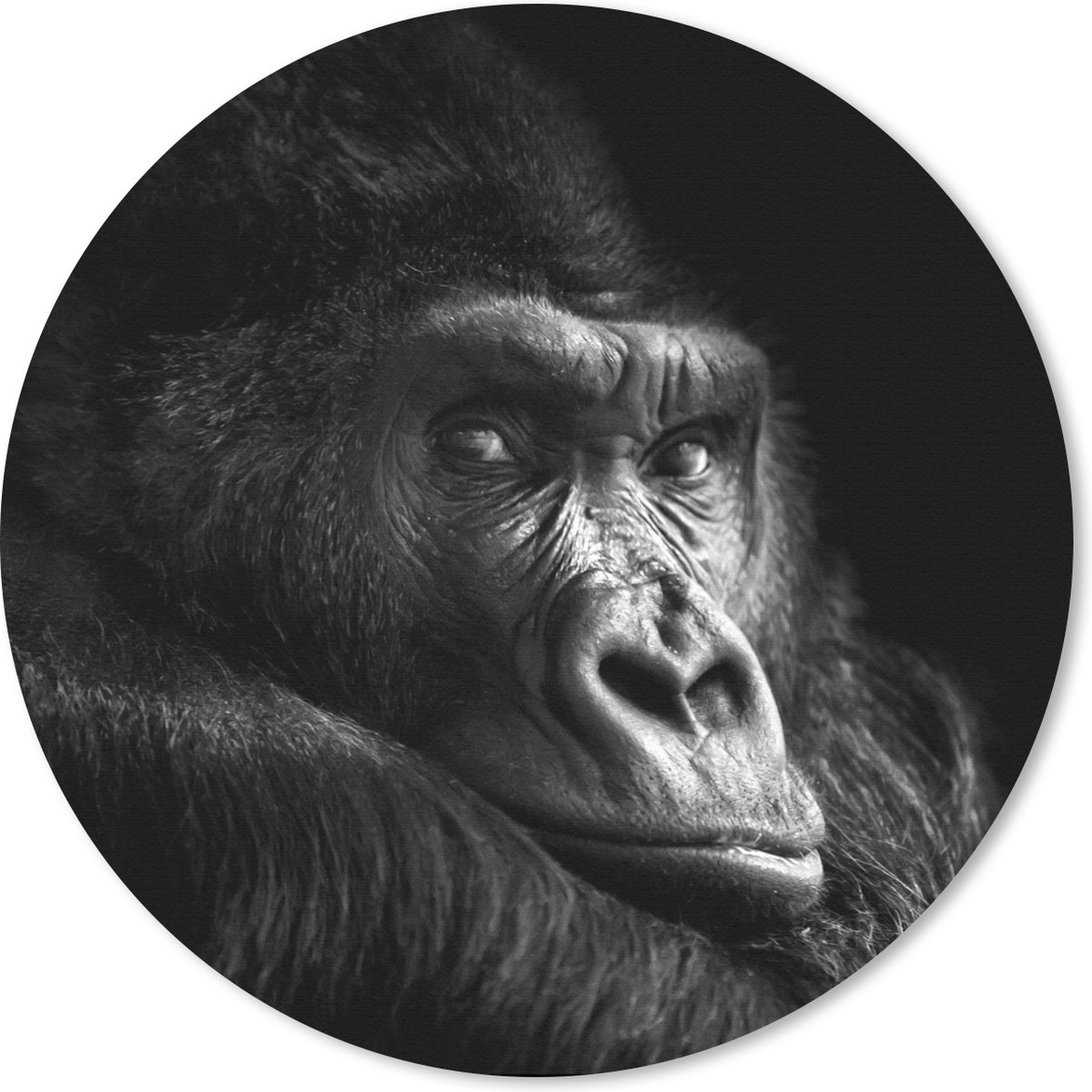 Muismat rond 40x40 cm - Mousepad Gorilla - Aap - Zwart - Wit - Portret - Ronde muismatten