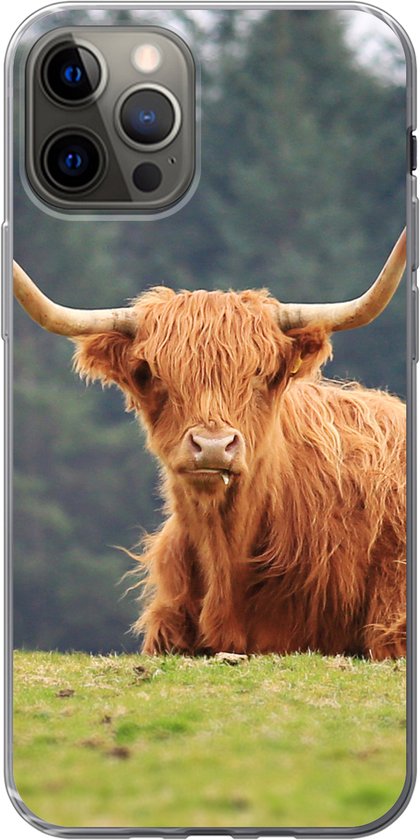 Étui iPhone 12 Pro - Highlanders écossais - Herbe - Forêt - Étui de téléphone en Siliconen