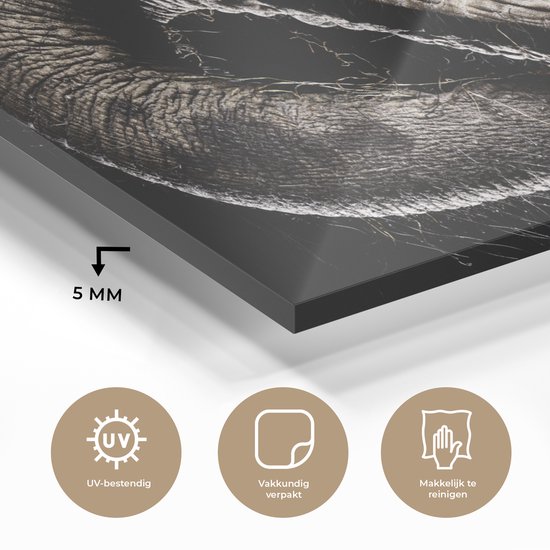 MuchoWow® Peinture sur verre 120x60 cm - Peinture acrylique sur verre - Éléphant - Animaux - Zwart - Nature - Photo sur verre - Peintures