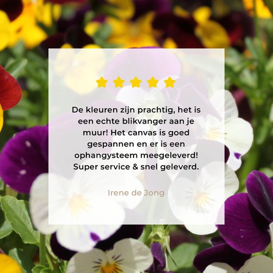 Toile Peinture Violettes Colorées - 180x120 cm - Décoration murale XXL