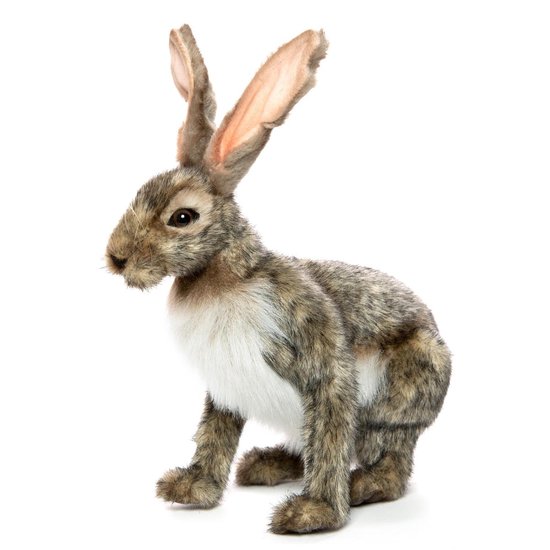 Hansa Jack Rabbit Hansa Jack Konijn 30 cm | bol