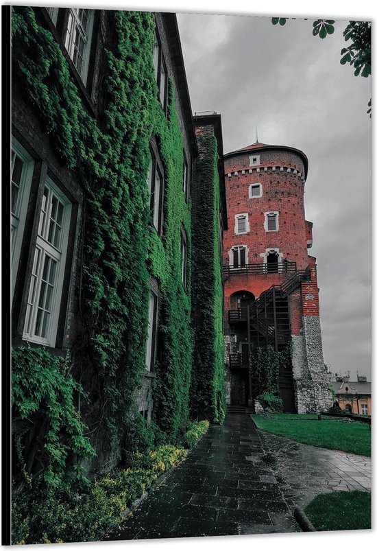 Dibond –Koninklijke Kasteel van Wawel - Krakau– 30x40cm Foto op Aluminium (Met Ophangsysteem)