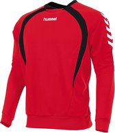 hummel Team Top Round Neck Sporttrui Kinderen - Rood - Maat 128
