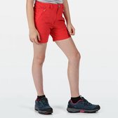 Regatta - Kids' Highton Shorts - Outdoorbroek - Kinderen - Maat 7-8 Jaar - Roze