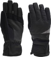 Reydon Skihandschoenen Polyester Zwart Maat S
