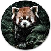 Ronde muursticker Kleine Panda - WallCatcher | 120 cm behangsticker wandcirkel Red Panda