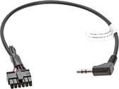 ACV Stuurwielbediening - Pioneer-kabel