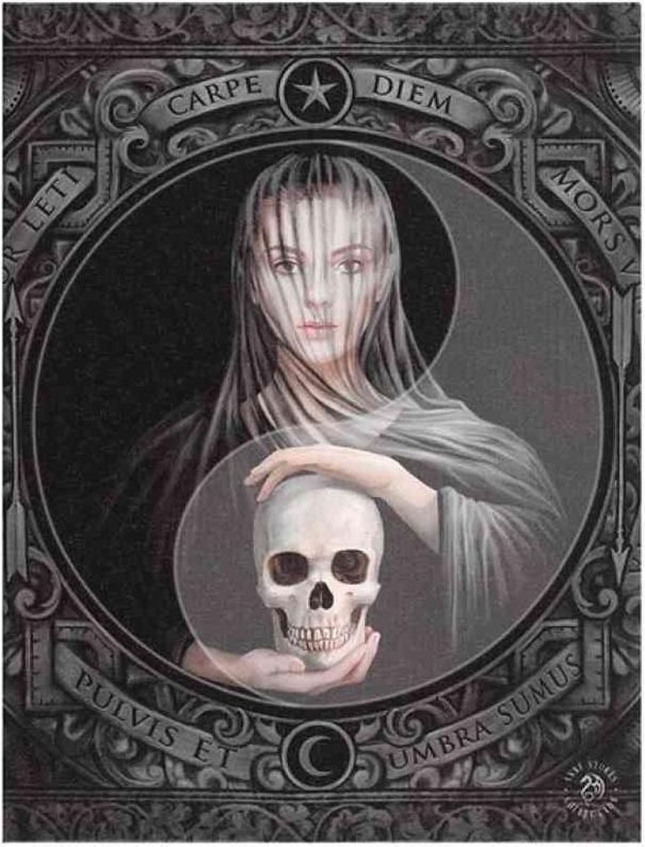 Anne Stokes Canvas afbeelding Beyond the Veil 19x25 Multicolours